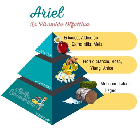 Ariel Wäscheparfüm - DAS SCHÖNE WÄSCHEMÄDCHEN